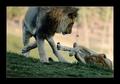 Dispute