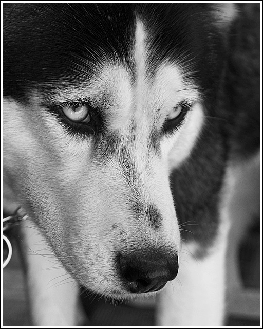 DSC_5693.jpg