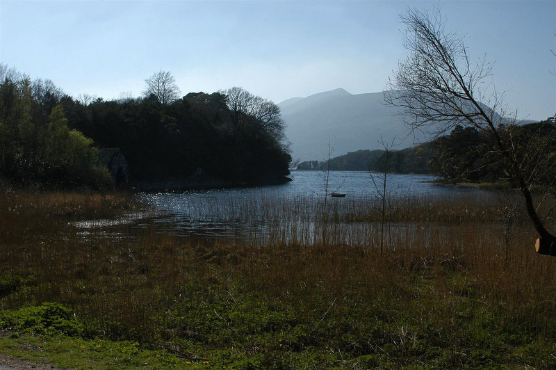 DSC_9460.JPG