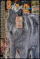 Cry Wolf