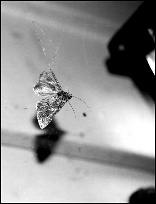 Death