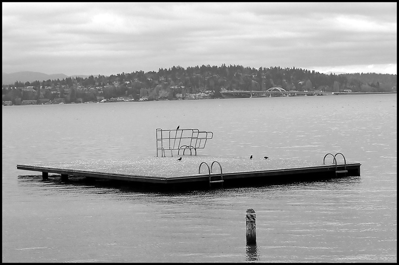 Dock.jpg