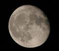moon.jpg