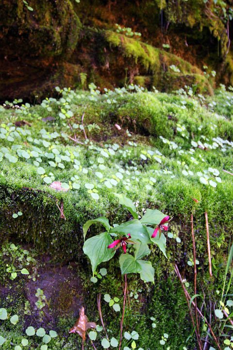 Waterfall5_720.jpg