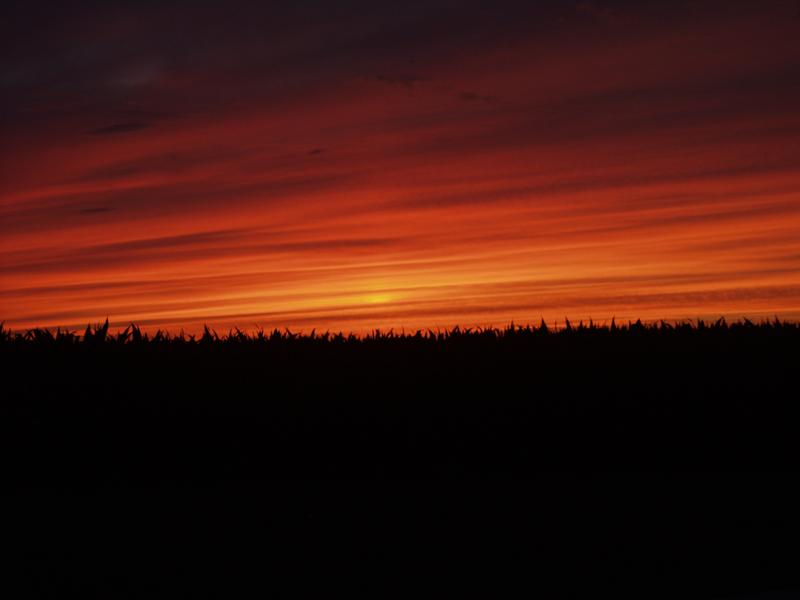 Sunset2.JPG