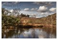 The Pond