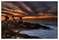 The Cove
