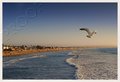 Oceanside