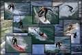 Surf's Up!