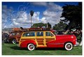 Red Woody