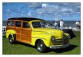 Yellow Woody