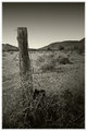 Forgotten