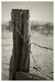 Weathered Boundary