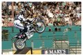Monster Truck Series - 10