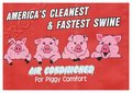 Piggy Comfort