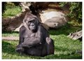 Kickin' back