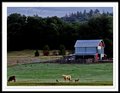 Julian Farm