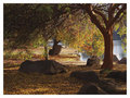 Autumn Sanctuary