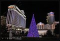 IMG_5520.jpg