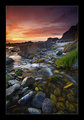 raw_velvia_edit_700.jpg