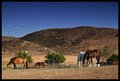 IMG_8516.jpg