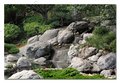 Japanese Gardens