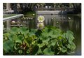 Balboa Park