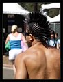 IMG_1213.jpg