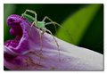 IMG_1542.jpg