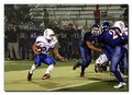 IMG_3873_750.jpg