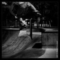 IMG_8372.jpg