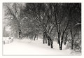 IMG_7625b.jpg