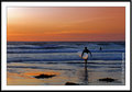 Sunset Surfer