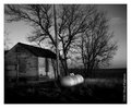 IMG_5656BW.jpg
