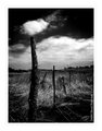 IMG_5865BW.jpg