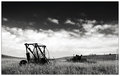 IMG_5860BW.jpg