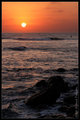 IMG_5429.jpg