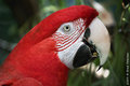IMG_7863.jpg
