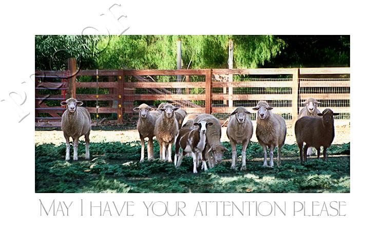 Attention...