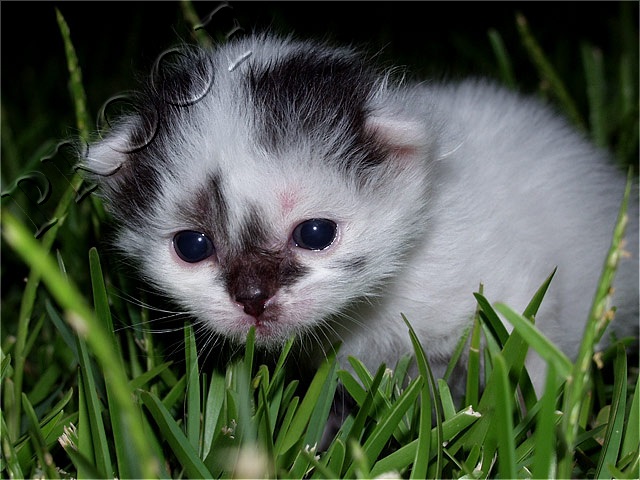 Ick - I don't like this stuff!