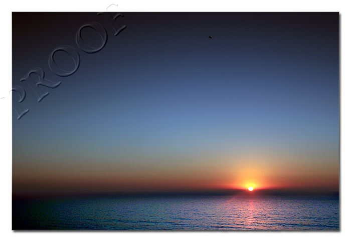 Pacific Nightfall