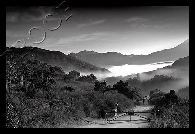 The Path