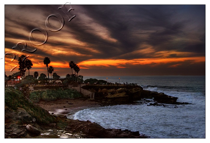 The Cove