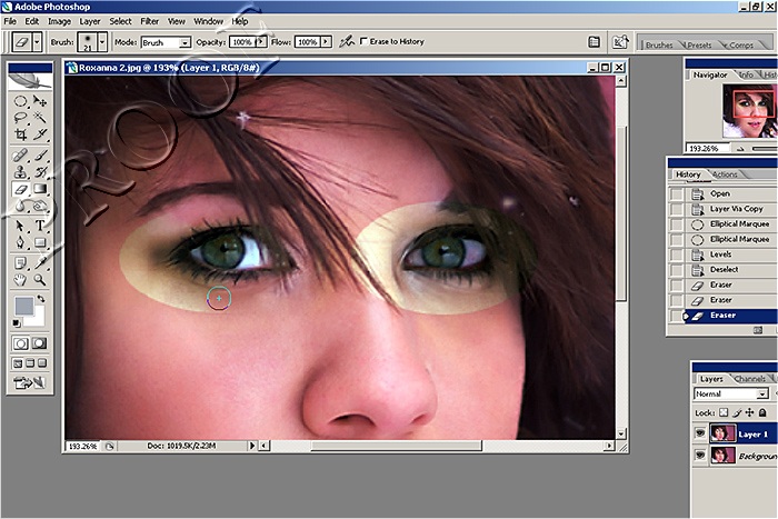 Step3.jpg