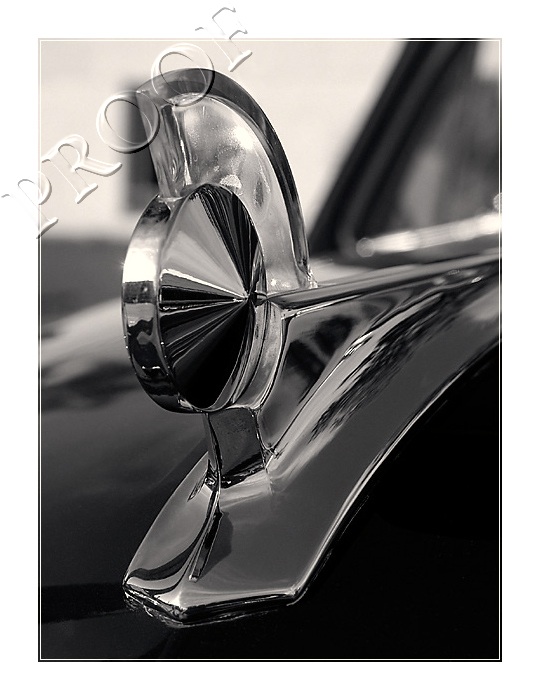 49 Woody