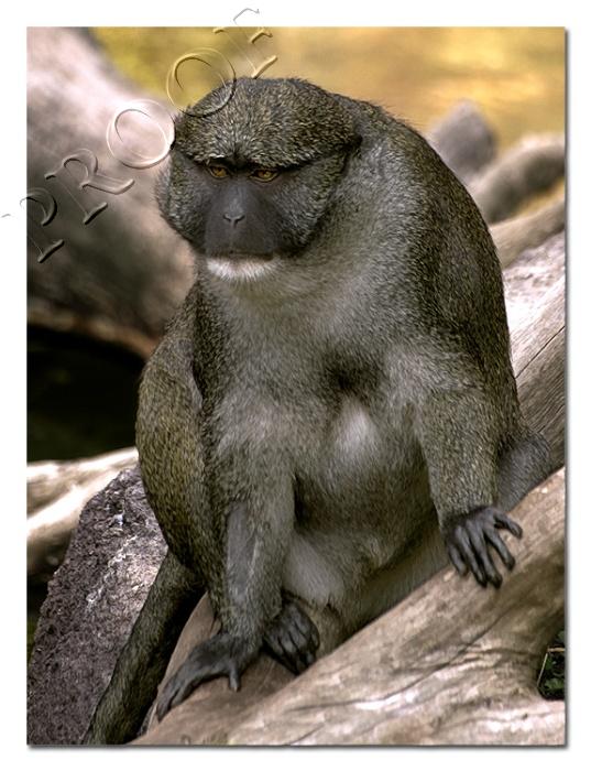 I hate mondays....