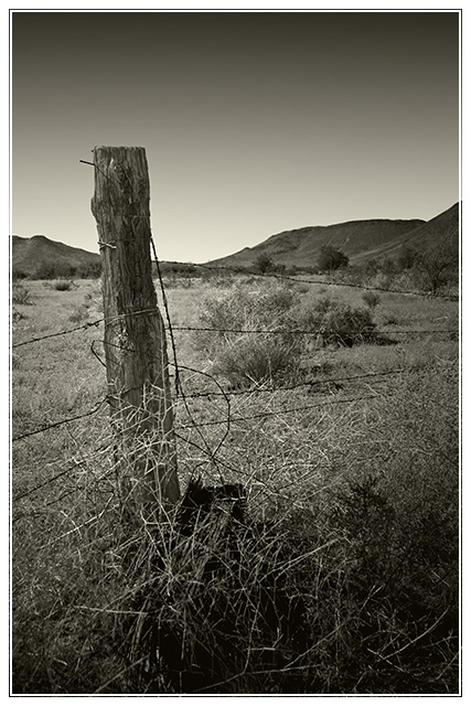 Forgotten