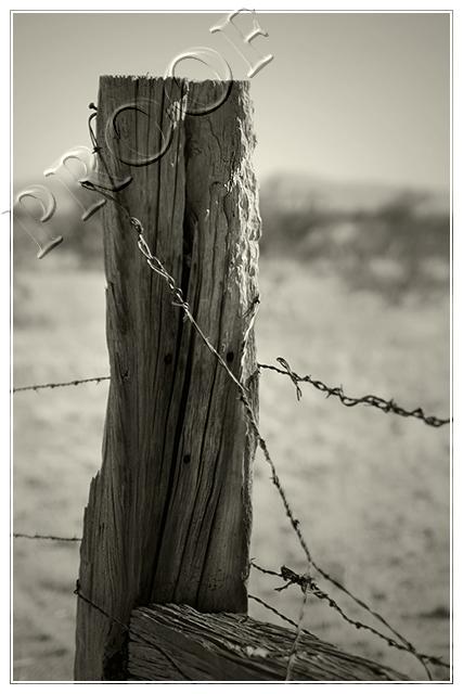 Weathered Boundary