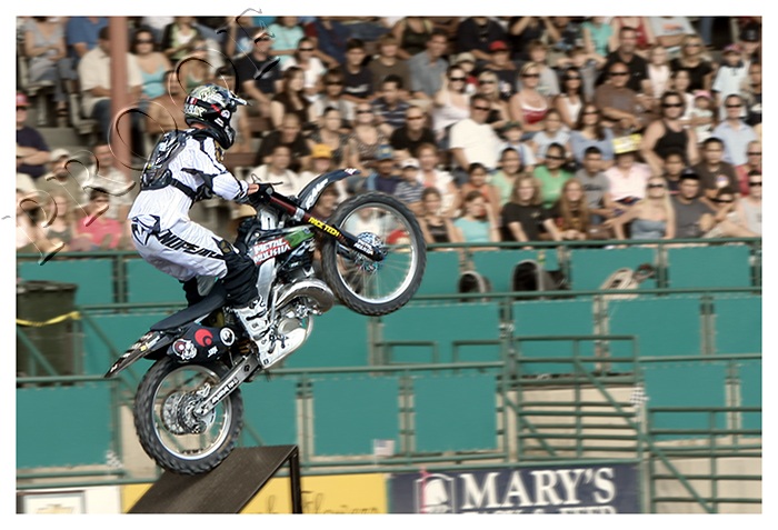 Monster Truck Series - 10