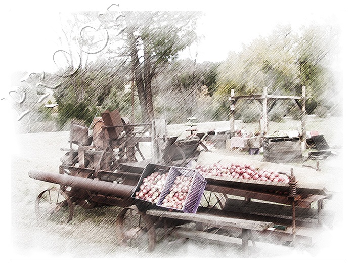 The Apple Stand